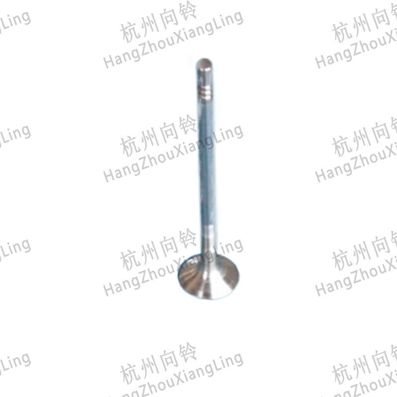 HANGZHOU XIANG LING AUTO PARTS CO.,LTD.